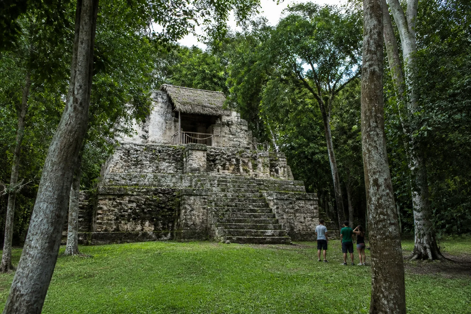 Muyil archaeological site surrounded by tropical forest