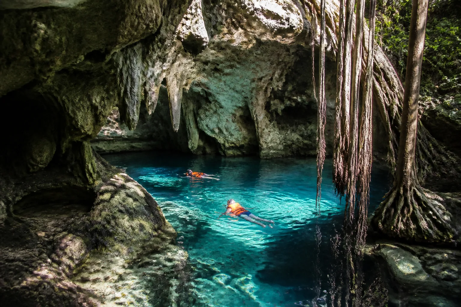 Travelers swimming in a limestone cenote near Tulum