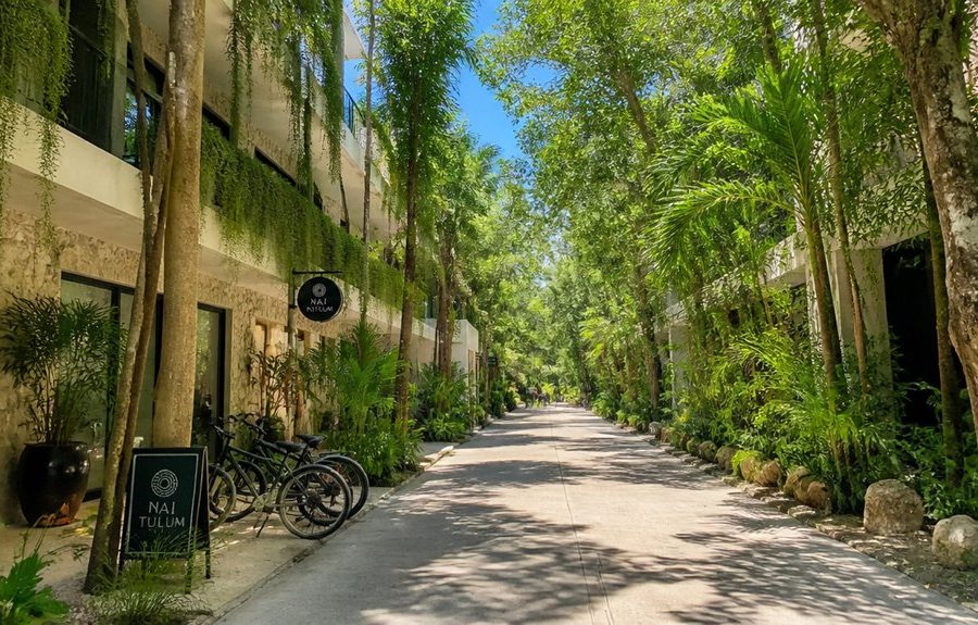 Aldea Zama Tulum Guide