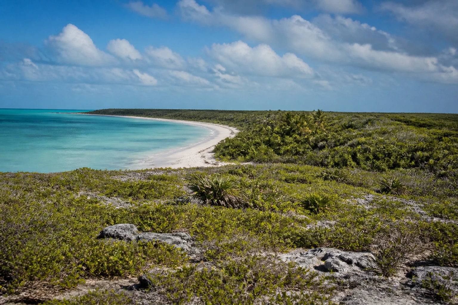Coastal vegetation and water in Sian Kaan near Tulum