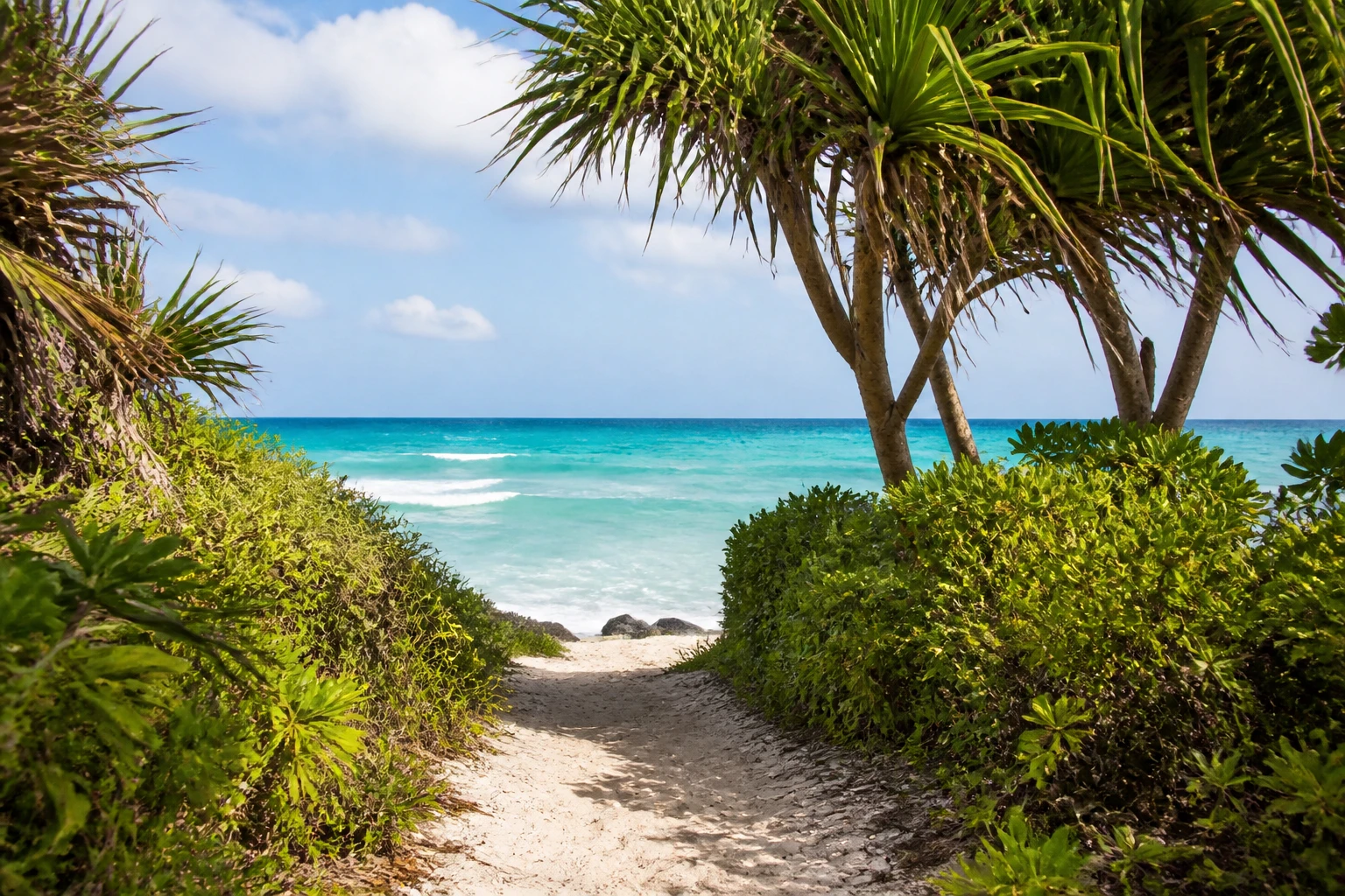 Sandy access path leading toward the Caribbean coast in Tulum