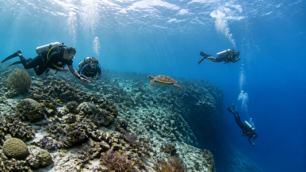 choose cenote dives by skill