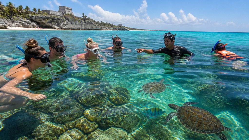 choose the right tulum snorkel tour