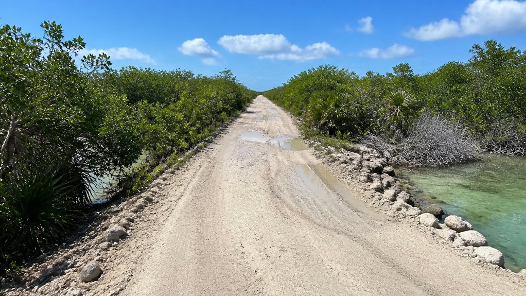 rough dusty road to punta