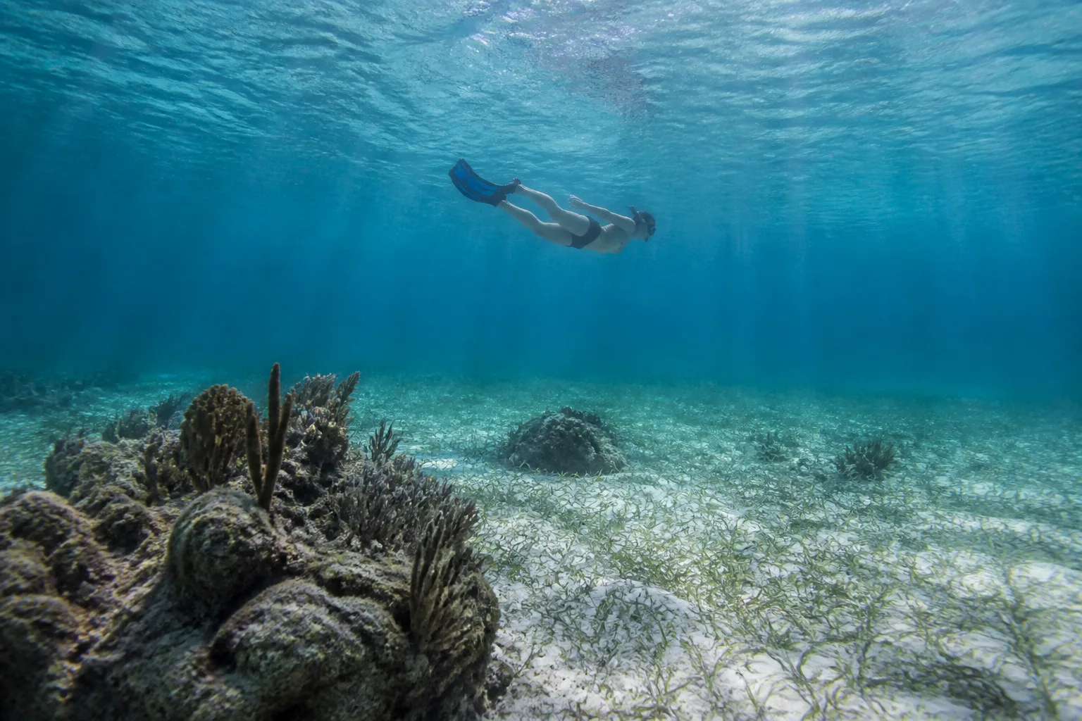 Snorkeler floating above seagrass and coral patches in shallow water