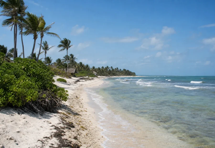 Tankah Bay Tulum Guide