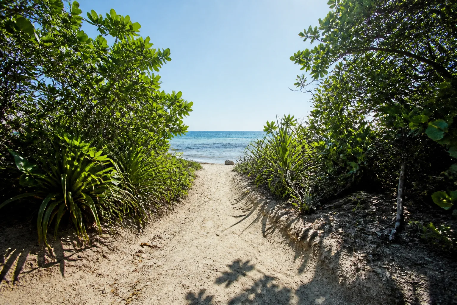 Tropical beach access path near Tankah