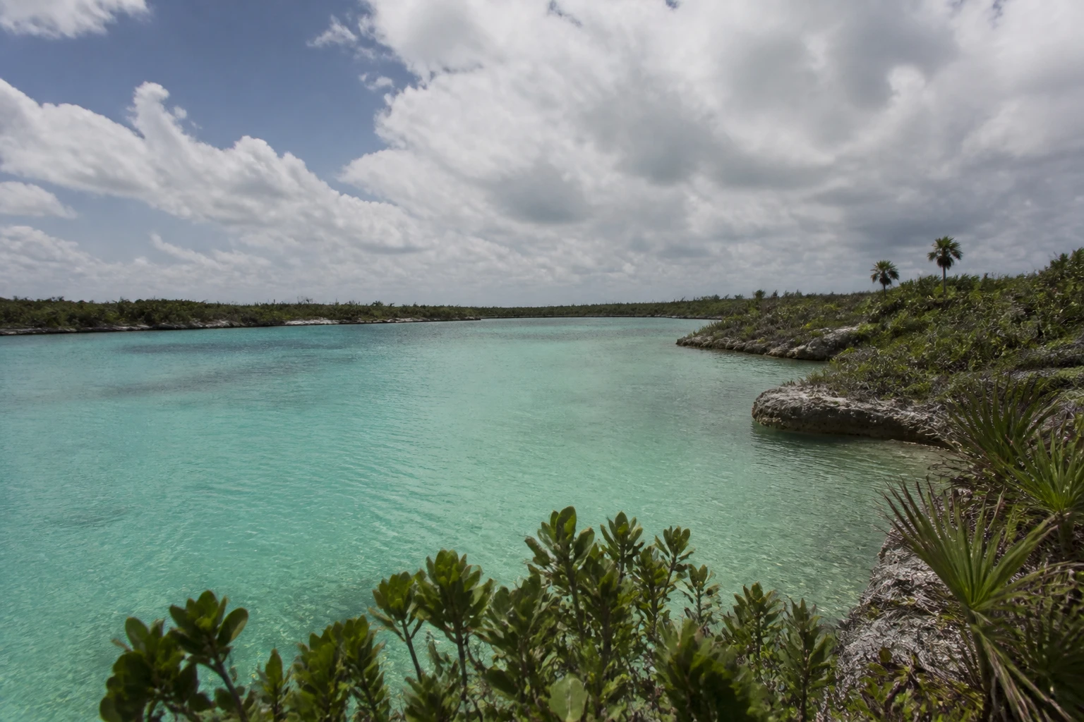 Turquoise lagoon and tropical vegetation near Tulum
