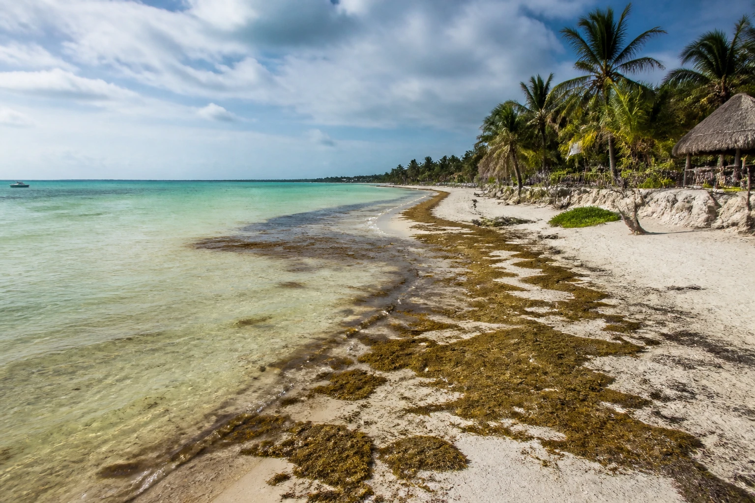 Tulum coastline with sargassum along part of the shore