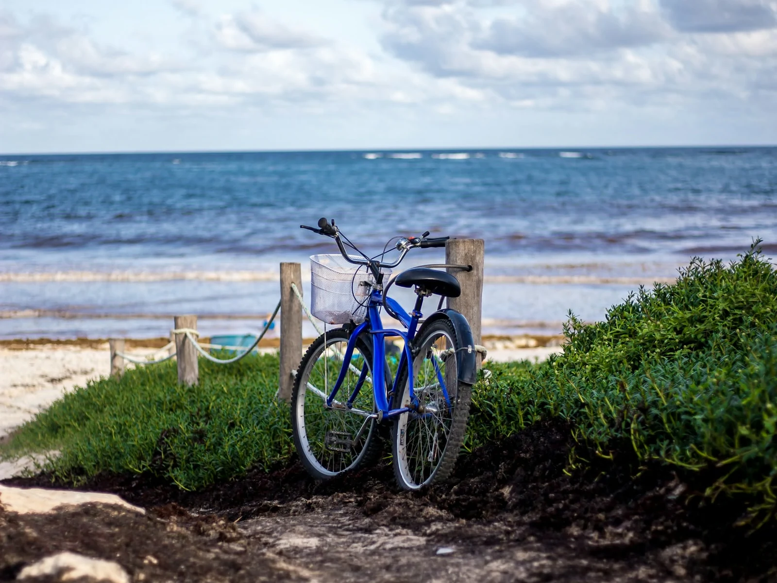 Blue bicycle parked beside the Caribbean beach in Tulum