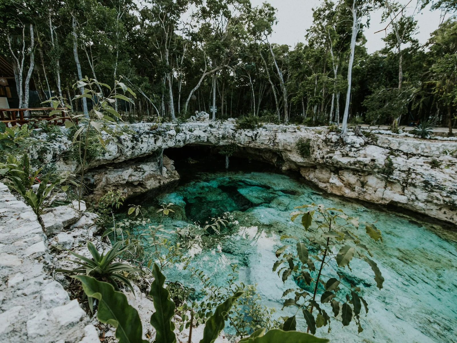 Clear turquoise cenote surrounded by limestone and jungle near Tulum